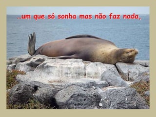 …um que só sonha mas não faz nada,