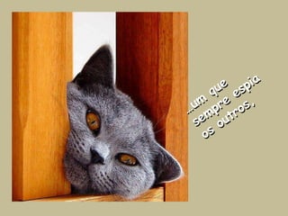 …um que sempre espia os outros,