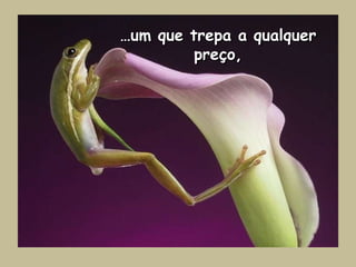 …um que trepa a qualquer preço,