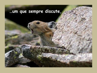 …um que sempre discute,
