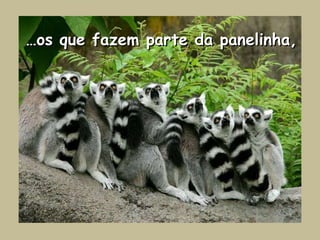 …os que fazem parte da panelinha,