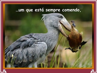 … um que está sempre comendo, 