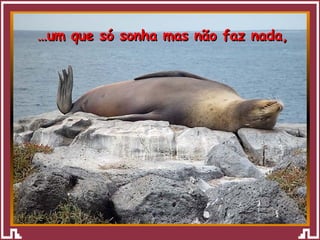 … um que só sonha mas não faz nada, 