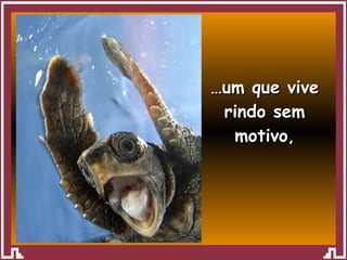 … um que vive rindo sem motivo , 