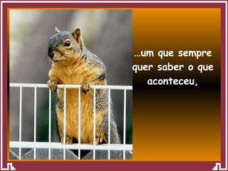 … um que sempre quer saber o que aconteceu, 