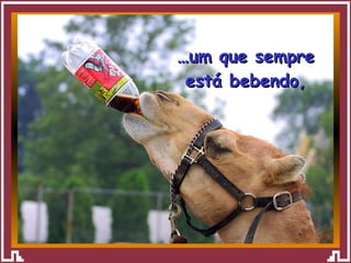 … um que sempre está bebendo, 
