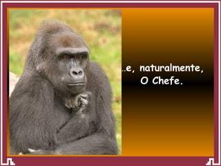 … e, naturalmente,  O Chefe. 