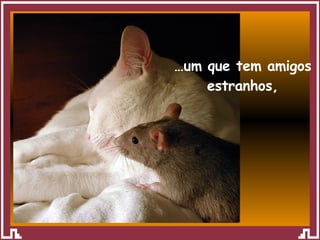 … um que tem amigos estranhos, 