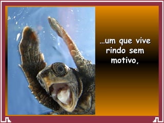 … um que vive rindo sem motivo , 