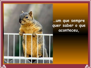 … um que sempre quer saber o que aconteceu, 