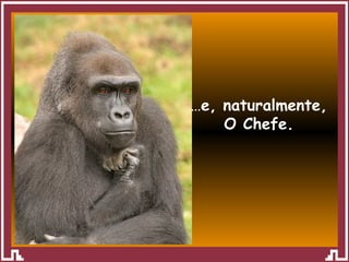 … e, naturalmente, O Chefe. 