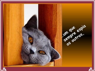 … um que sempre espia os outros, 