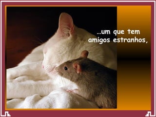 … um que tem amigos estranhos, 