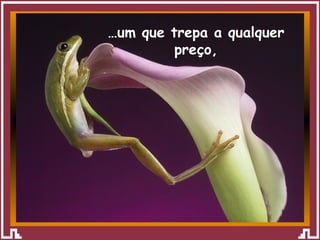 … um que trepa a qualquer preço, 