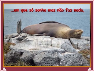 … um que só sonha mas não faz nada, 