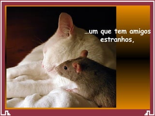 … um que tem amigos estranhos, 