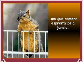 … um que sempre espreita pela janela, 