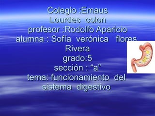 Colegio :Emaus Lourdes  colon profesor :Rodolfo Aparicio alumna : Sofía  verónica  flores  Rivera grado:5 sección : “a” tema: funcionamiento  del  sistema  digestivo    