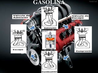 GASOLINA