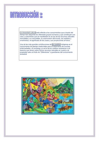 La diversidad cultural está referida a los conocimientos que a través del
tiempo han adquirido los diferentes grupos humanos y que constituyen sus
usos y costumbres que se manifiestan en el uso de los recursos naturales
renovables y no renovables, la cosmovisión del mundo, los vestidos y
ornamentos, el significado de las cosas y sus proyecciones al futuro.
Una de las más grandes contribuciones de los pueblos indígenas es el
conocimiento de plantas medicinales para el tratamiento de muchas
enfermedades, sin embargo no se le da los créditos necesarios ni el
derecho que tienen sobre dichos recursos naturales en cuanto a la
propiedad salvo el título de “Obtentores” o guardianes del conocimiento
ancestral.
 