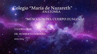 Colegio“MaríadeNazareth”ANATOMIA
“MÚSCULOSDELCUERPOHUMANO”
VALERIADÍAZ 2DOBGU“A”
DR.HUMBERTOCORDERO
2013-2014
 