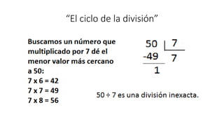 “El ciclo de la división”
 