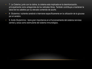 • 7. La Cisteína: junto con la cistina, la cisteina esta implicada en la desintoxicación,
principalmente como antagonista de los radicales libres. También contribuye a mantener la
salud de los cabellos por su elevado contenido de azufre.
• 8. Glutamina: nutriente cerebral e interviene específicamente en la utilización de la glucosa
por el cerebro.
• 9. Acido Glutaminíco : tiene gran importancia en el funcionamiento del sistema nervioso
central y actúa como estimulante del sistema inmunológico.
 