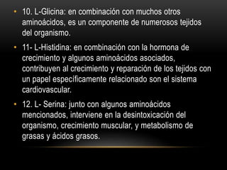 • 10. L-Glicina: en combinación con muchos otros
aminoácidos, es un componente de numerosos tejidos
del organismo.
• 11- L-Histidina: en combinación con la hormona de
crecimiento y algunos aminoácidos asociados,
contribuyen al crecimiento y reparación de los tejidos con
un papel específicamente relacionado son el sistema
cardiovascular.
• 12. L- Serina: junto con algunos aminoácidos
mencionados, interviene en la desintoxicación del
organismo, crecimiento muscular, y metabolismo de
grasas y ácidos grasos.
 