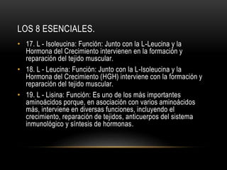 LOS 8 ESENCIALES.
• 17. L - Isoleucina: Función: Junto con la L-Leucina y la
Hormona del Crecimiento intervienen en la formación y
reparación del tejido muscular.
• 18. L - Leucina: Función: Junto con la L-Isoleucina y la
Hormona del Crecimiento (HGH) interviene con la formación y
reparación del tejido muscular.
• 19. L - Lisina: Función: Es uno de los más importantes
aminoácidos porque, en asociación con varios aminoácidos
más, interviene en diversas funciones, incluyendo el
crecimiento, reparación de tejidos, anticuerpos del sistema
inmunológico y síntesis de hormonas.
 