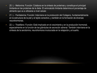 • 20. L - Metionina: Función: Colabora en la síntesis de proteínas y constituye el principal
limitante en las proteínas de la dieta. El aminoácido limitante determina el porcentaje de
alimento que va a utilizarse a nivel celular.
• 21. L - Fenilalanina: Función: Interviene en la producción del Colágeno, fundamentalmente
en la estructura de la piel y el tejido conectivo, y también en la formación de diversas
neurohormonas.
• 22. L - Triptófano: Función: Está implicado en el crecimiento y en la producción hormonal,
especialmente en la función de las glándulas de secreción adrenal. También interviene en la
síntesis de la serotonina, neurohormona involucrada en la relajación y el sueño.
 