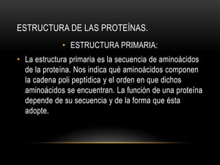 ESTRUCTURA DE LAS PROTEÍNAS.
• ESTRUCTURA PRIMARIA:
• La estructura primaria es la secuencia de aminoácidos
de la proteína. Nos indica qué aminoácidos componen
la cadena poli peptídica y el orden en que dichos
aminoácidos se encuentran. La función de una proteína
depende de su secuencia y de la forma que ésta
adopte.
 