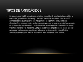 TIPOS DE AMINOÁCIDOS.
• Se sabe que de los 20 aminoácidos proteicos conocidos, 8 resultan indispensables (o
esenciales) para la vida humana y 2 resultan "semiindispensables". Son estos 10
aminoácidos los que requieren ser incorporados al organismo en su cotidiana
alimentación y, con más razón, en los momentos en que el organismo más los necesita:
en la disfunción o enfermedad. Los aminoácidos esenciales más problemáticos son el
triptófano, la lisina y la metionina. Es típica su carencia en poblaciones en las que los
cereales o los tubérculos constituyen la base de la alimentación. Los déficit de
aminoácidos esenciales afectan mucho más a los niños que a los adultos.
 