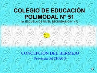 COLEGIO DE EDUCACIÓN POLIMODAL N° 51 (ex ESCUELA DE NIVEL SECUNDARIO N° 47) CONCEPCIÓN DEL BERMEJO Provincia del CHACO 