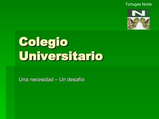 Colegio Universitario Una necesidad – Un desafío Tortugas Norte 