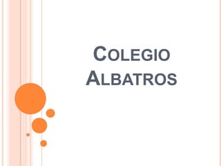 Colegio Albatros 