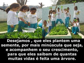      Desejamos , que eles plantem uma semente, por mais minúscula que seja, e acompanhem o seu crescimento, para que eles saibam de quantas muitas vidas é feita uma árvore. 