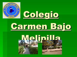 Colegio Carmen Bajo Melipilla 