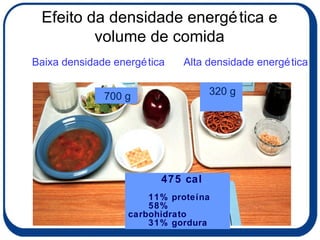 Efeito da densidade energética e volume de comida Baixa densidade energética Alta densidade energética   475 cal 11% proteína 58% carbohidrato 31% gordura 320 g 700 g 