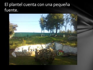 El plantel cuenta con una pequeña
fuente.

 