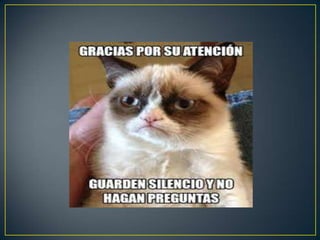 Violencia de Género