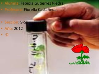 • Alumna: Fabiola Gutierrez Piedra.
• Profesora: Fiorella Castañeda.

• Seccion: 9-5
• Año: 2012
• :D
 
