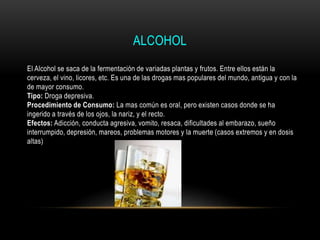 ALCOHOL
El Alcohol se saca de la fermentación de variadas plantas y frutos. Entre ellos están la
cerveza, el vino, licores, etc. Es una de las drogas mas populares del mundo, antigua y con la
de mayor consumo.
Tipo: Droga depresiva.
Procedimiento de Consumo: La mas común es oral, pero existen casos donde se ha
ingerido a través de los ojos, la nariz, y el recto.
Efectos: Adicción, conducta agresiva, vomito, resaca, dificultades al embarazo, sueño
interrumpido, depresión, mareos, problemas motores y la muerte (casos extremos y en dosis
altas)
 