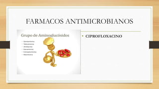 FARMACOS ANTIMICROBIANOS
• AMINOGLUCOSIDOS
• AMIKACINA
• GENTAMICINA
• KANAMICINA
• NEOMICINA
• NETILMICINA
• CIPROFLOXACINO
 