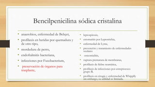 Bencilpenicilina sódica cristalina
• anaerobios, enfermedad de Behçet,
• profilaxis en heridas por quemadura y
de otro tipo,
• mordedura de perro,
• endoftalmitis bacteriana,
• infecciones por Fusobacterium,
• preservación de órganos para
trasplante,
• leptospirosis,
• estomatitis por Leptotrichia,
• enfermedad de Lyme,
• prevención y tratamiento de enfermedades
oculares
• osteomielitis,
• ruptura prematura de membranas,
• profilaxis de fiebre reumática,
• profilaxis de infecciones por estreptococo
grupo B,
• profilaxis en cirugía y enfermedad de Whipplly
sin embargo, su utilidad es limitada.
 