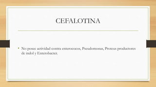 CEFALOTINA
• No posee actividad contra enterococos, Pseudomonas, Proteus productores
de indol y Enterobacter.
 