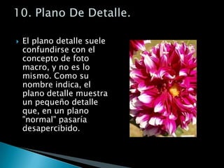 El plano detalle suele confundirse con el concepto de foto macro, y no es lo mismo. Como su nombre indica, el plano detalle muestra un pequeño detalle que, en un plano "normal" pasaría desapercibido. 10. Plano De Detalle.
