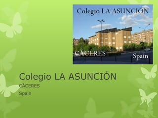 Colegio LA ASUNCIÓN
CÁCERES
Spain
 