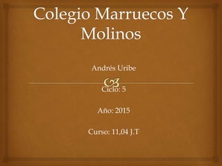 Andrés Uribe
Ciclo: 5
Año: 2015
Curso: 11,04 J.T
 
