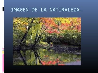IMAGEN DE LA NATURALEZA.
 