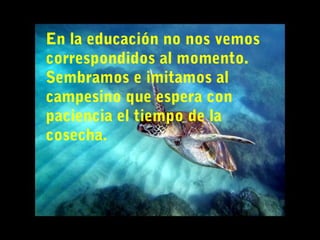 En la educación no nos vemos
correspondidos al momento.
Sembramos e imitamos al
campesino que espera con
paciencia el tiempo de la
cosecha.
 